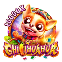 Facai : CHILIHUAHUA - SUNBET388