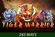 Spadegaming : Tiger Warrior - SUNBET388